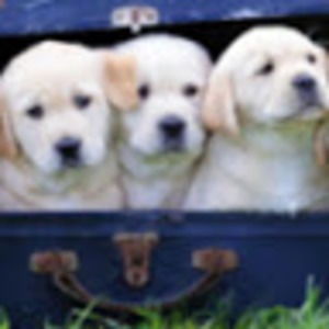 Meet your Posher, Jaylin